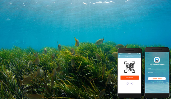 QR code technology for Third Party testing of fish for presence of added formaldehyde